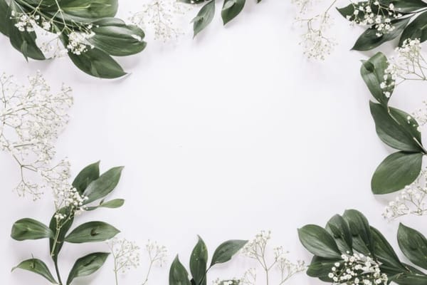 Dalton’s Place at Fordyce Assisted Living