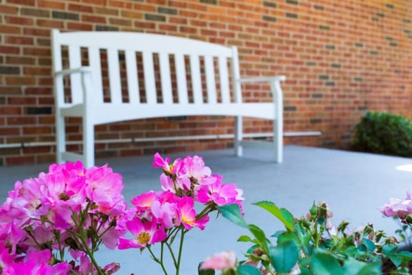 A bench surrounded by blooming flowers in a peaceful outdoor space