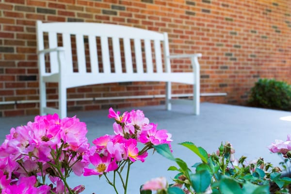 A bench surrounded by blooming flowers in a peaceful outdoor space