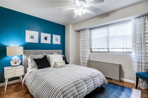 Cozy bedroom with blue accent wall and patterned bedding