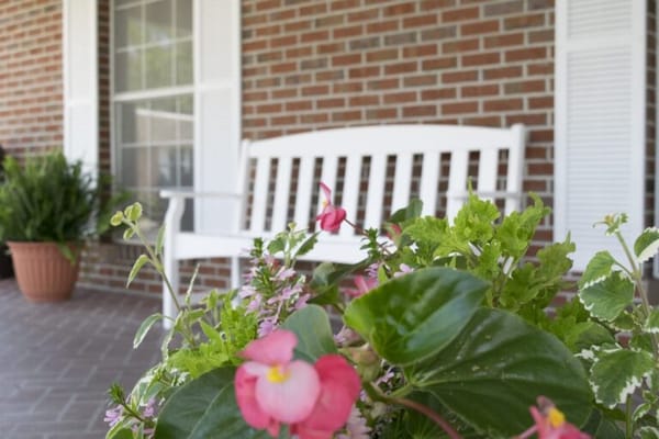 Outdoor seating area with flowers and a bench