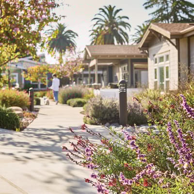 Pathway with colorful flowers and a resident walking