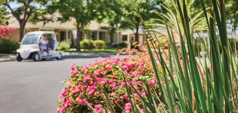 Resident being transported by golf cart in a landscaped area