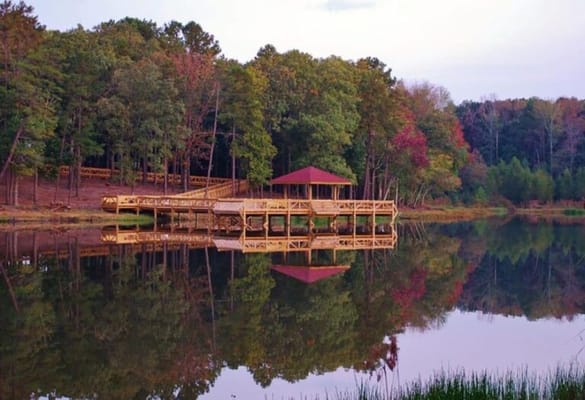 Dock by a serene lake surrounded by trees