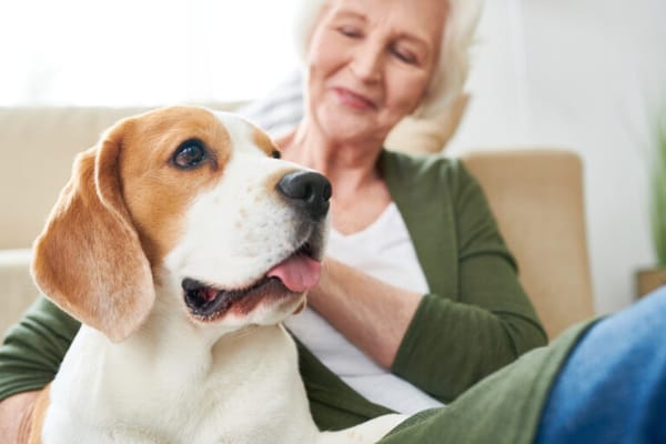 Senior woman enjoying time with her dog indoors