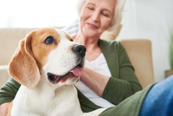 Senior woman enjoying time with her dog indoors