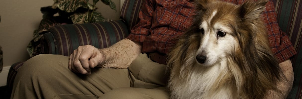Resident seated with a dog in a cozy interior setting