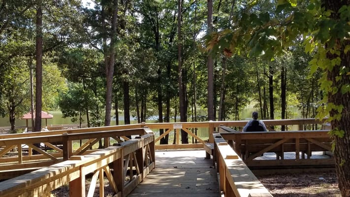 Wooden path leading to water with a person seated