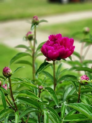 Memory Care at Good Shepherd