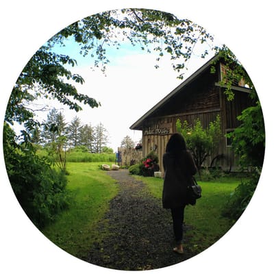 Pathway leading to Alder House with a visitor