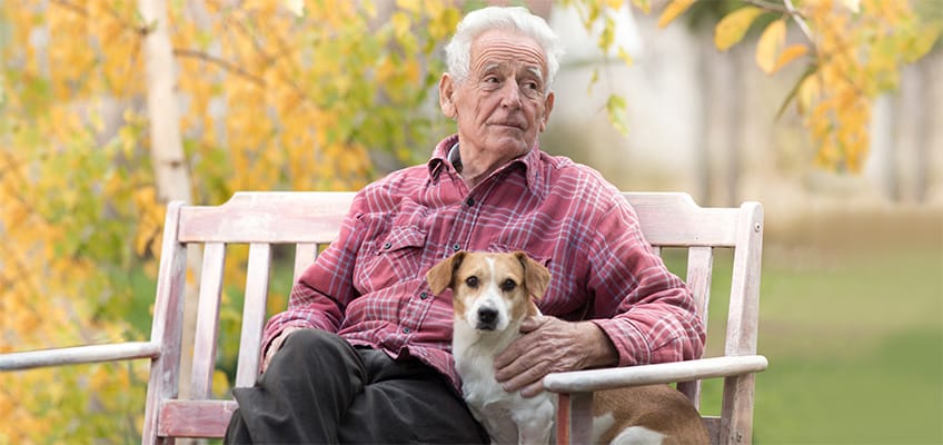 Senior man sitting outside with a dog