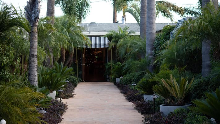 Path lined with palm trees and greenery