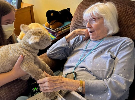 Resident interacting with a caregiver and a stuffed animal
