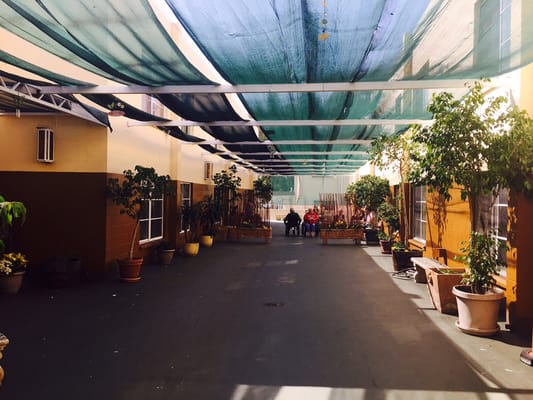 Covered outdoor walkway with potted plants and seating