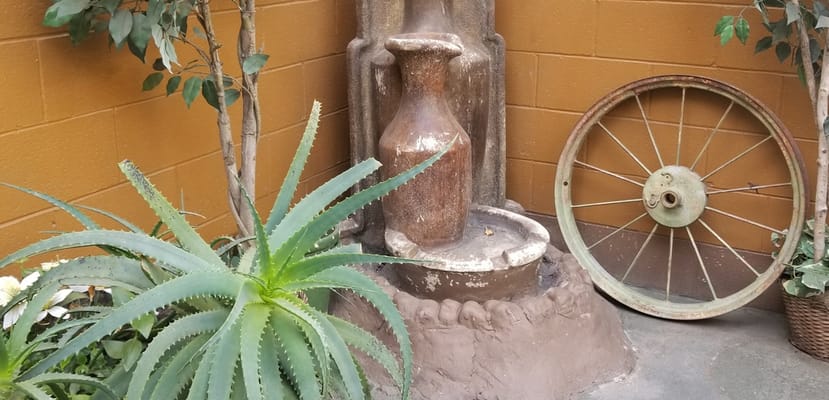 Decorative indoor fountain surrounded by plants