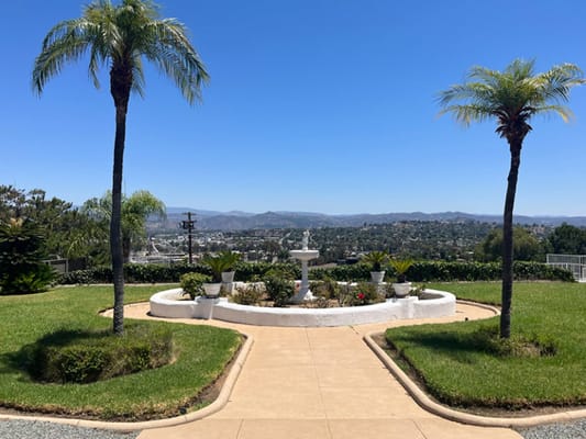 A beautiful outdoor space with palm trees and a view