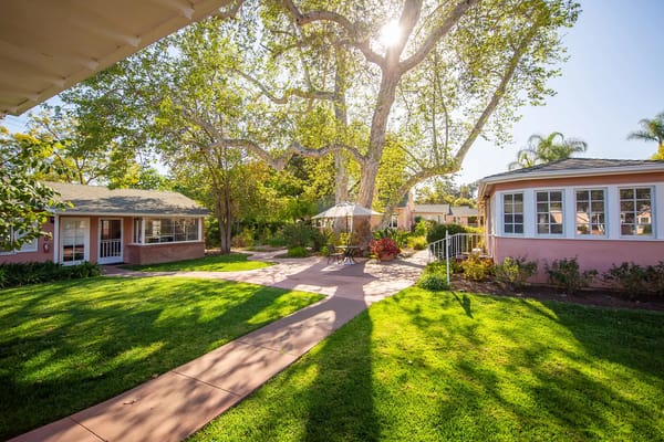 Panoramic view of a lush outdoor space with trees