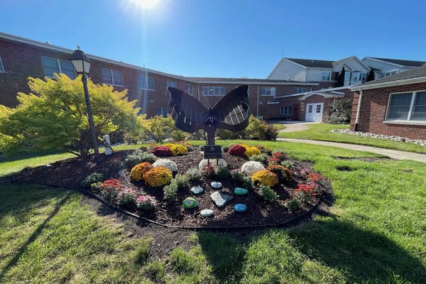 Outdoor garden with colorful flowers and a butterfly sculpture