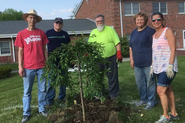 Community members planting a tree in the garden
