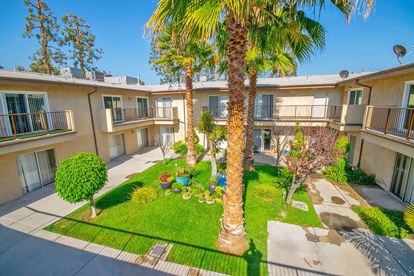 View of a courtyard with palm trees and plants