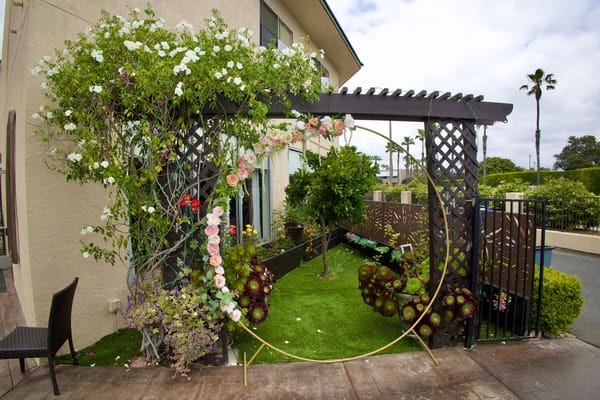 A beautiful garden area with flowers and greenery