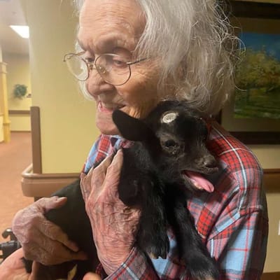 An elderly woman holding a baby goat inside a facility