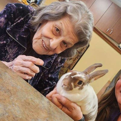 Resident interacting with a bunny in a cozy interior space
