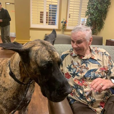 Resident interacting with a dog in the lounge area