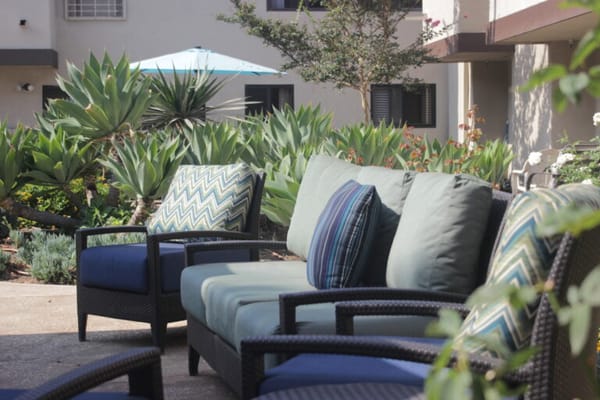 Outdoor seating area with plants and vibrant cushions