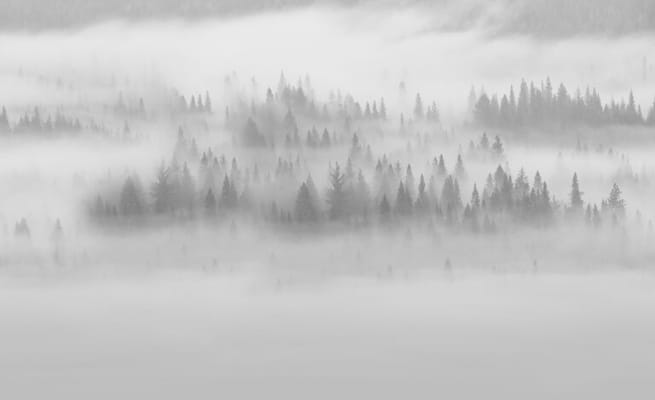 Oakwood Memory & Senior Care