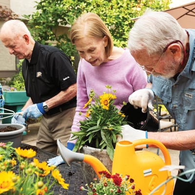 Residents gardening together in an outdoor space