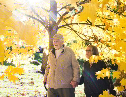 Two residents enjoying a sunny day outdoors among autumn leaves