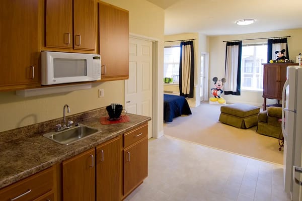 Bright kitchen area leading to a resident's living space