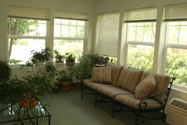 Cozy sunroom with plants and seating area