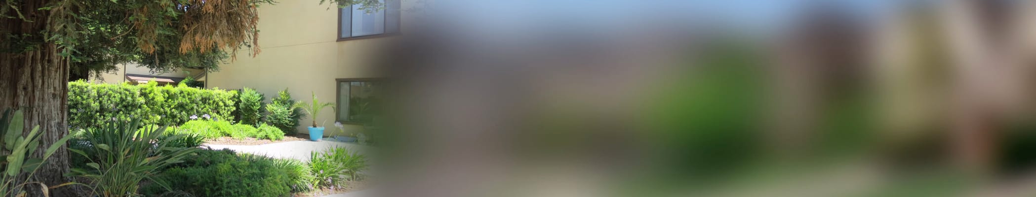 Palm Village Retirement Community