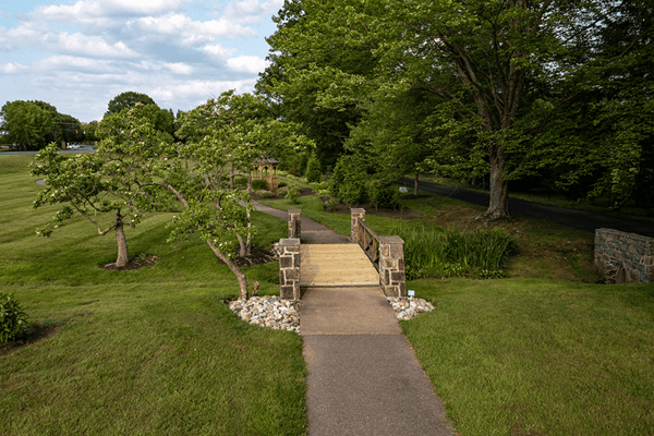 Pathway through a landscaped garden area