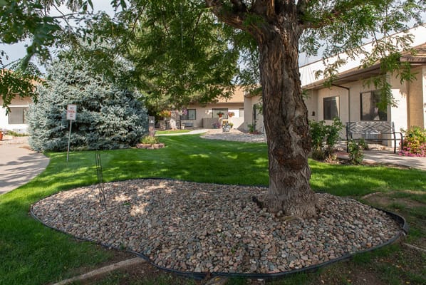 Outdoor space with landscaped areas and building in background