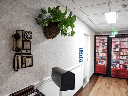 Nostalgic decor in a hallway with a plant and telephone