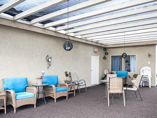 Outdoor seating area with blue chairs and plants