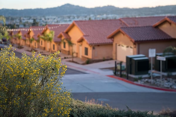 Outdoor view of residential homes with flowering plants