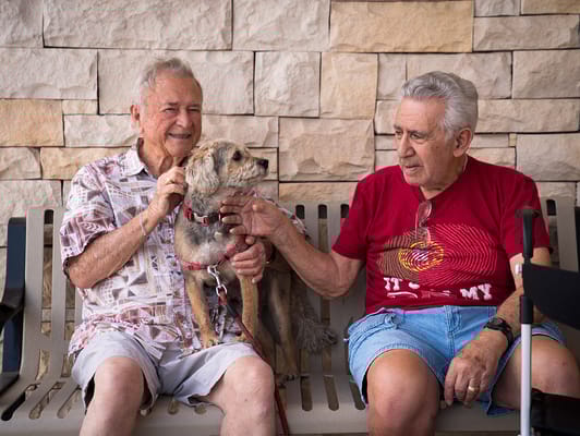 Two seniors interacting with a dog on a bench