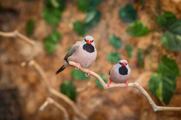 Life Care Center of Valparaiso