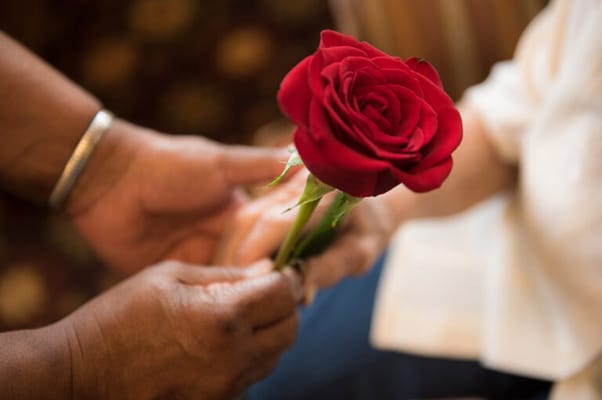 A person presenting a red rose to another
