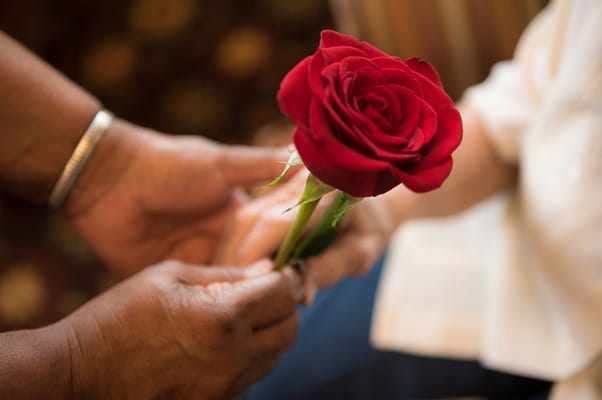 A person presenting a red rose to another