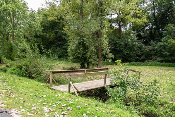 Wooden bridge in a lush outdoor space