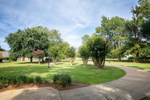 Well-maintained outdoor space with trees and pathway