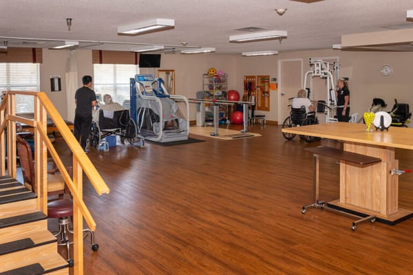 Residents exercising in a physical therapy room