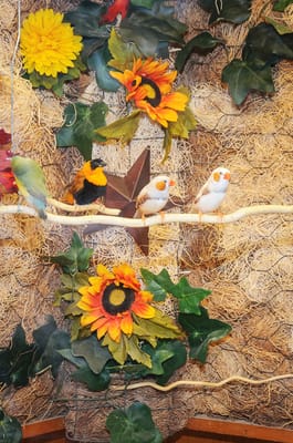 Life Care Center of Brookfield