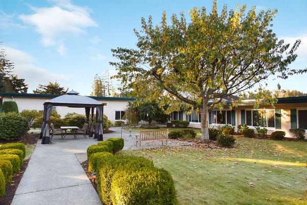 Outdoor space with gazebo and landscaped gardens