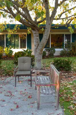 Outdoor seating area with a tree and view of the building
